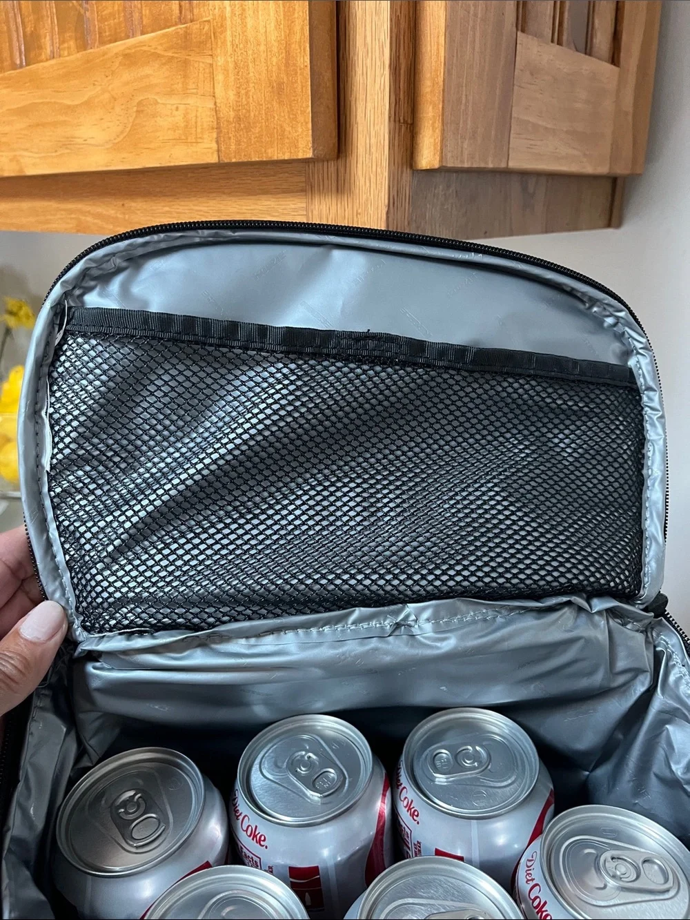 Backpack Cooler New With Tags